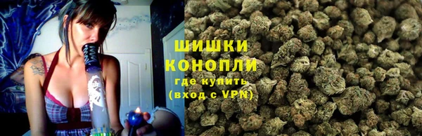 винт Дмитриев