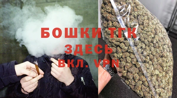 молекула духа Дмитровск