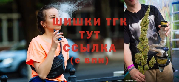 молекула духа Дмитровск
