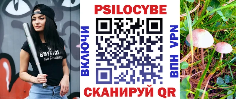 Псилоцибиновые грибы Cubensis  Уварово 